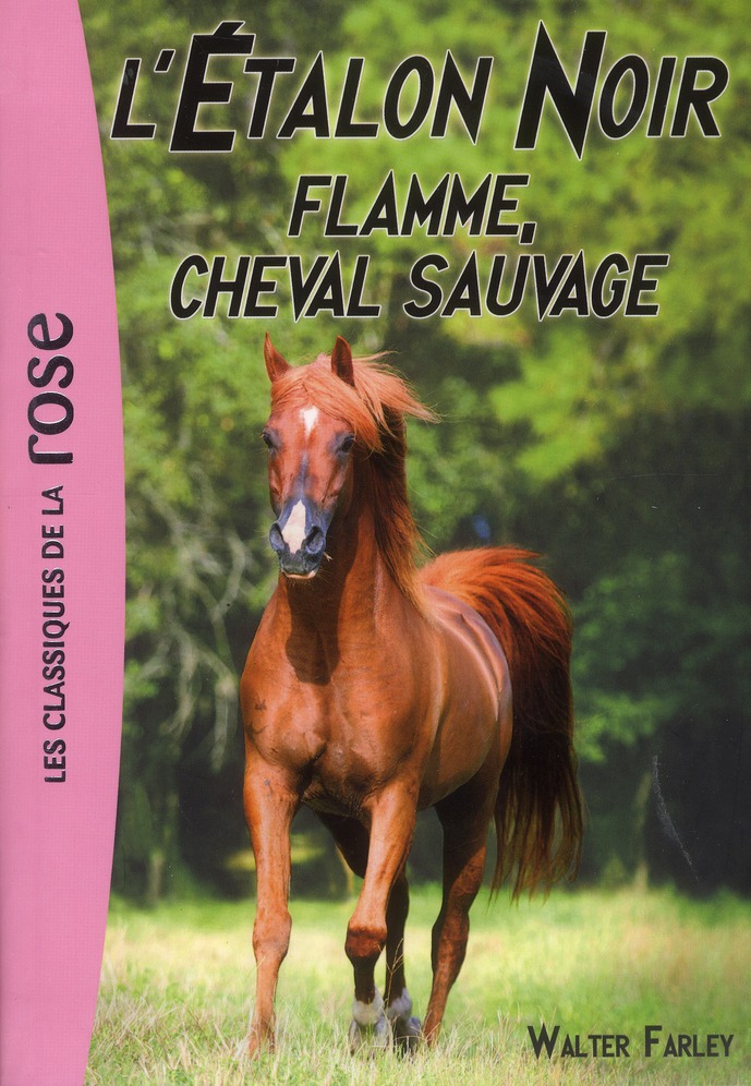 Librairie Flamme Cheval Sauvage Livre d'occasion Bibliothèque Rose