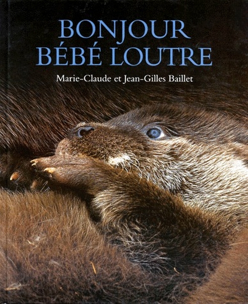 Ce bébé loutre secouru va remplir votre cœur de joie