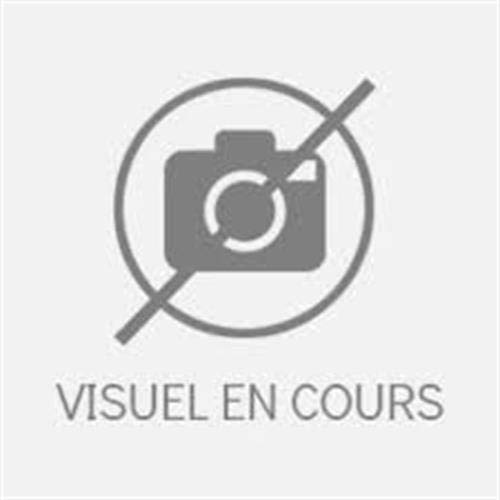 PETIT OFFICE DE LA SAINTE VIERGE DE MATINES A COMPLIES SELON LE