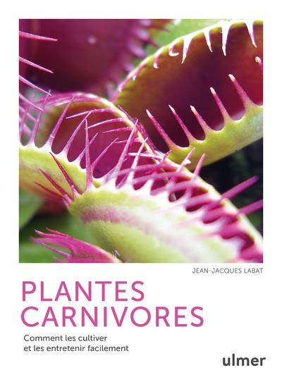 Les plantes carnivores : des curiosités à cultiver en intérieur