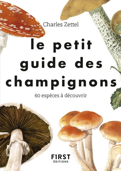 Le guide des champignons comestibles - Documentaire 