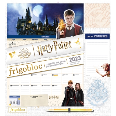 Harry Potter - Ma pochette d'anniversaire - Des activités et des cadeaux -  Playbac