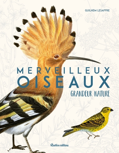 Calendrier mural Oiseaux grandeur nature 2024