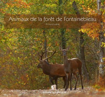 Les animaux des forêts françaises (1ère partie) - Dictionnaire des animaux