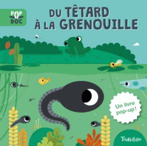couverture de : Du t&ecirc;tard &agrave; la grenouille