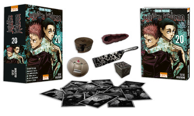 Jujutsu Kaisen - Tome 01 : Roman Jujutsu Kaisen T01