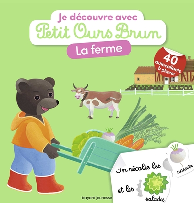 Mini cache-cache Petit Ours Brun - Où est mon doudou ? - Bayard